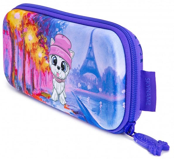 пенал жесткий SkyName P-308 без наполнения