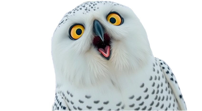 Скидки и бонусные баллы