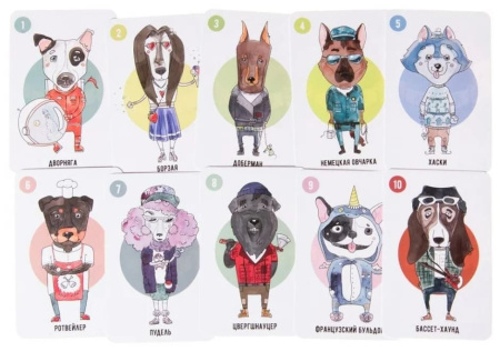 Пес попутал