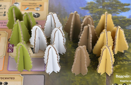 Грибы и корни