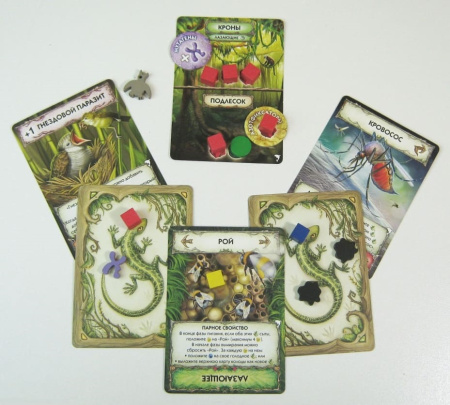 Эволюция. Новый мир. Круговорот