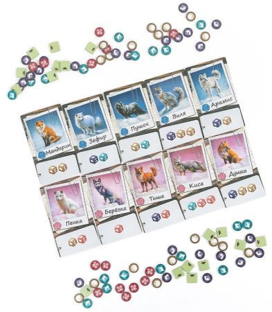 Эксперимент. Домашние лисы