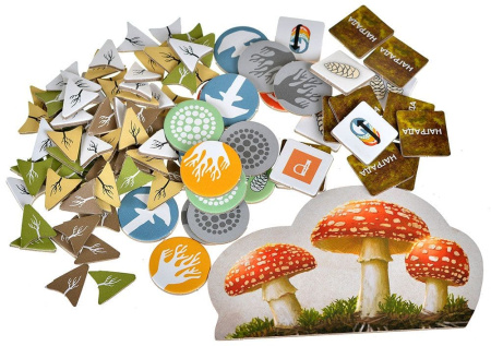 Грибы и корни