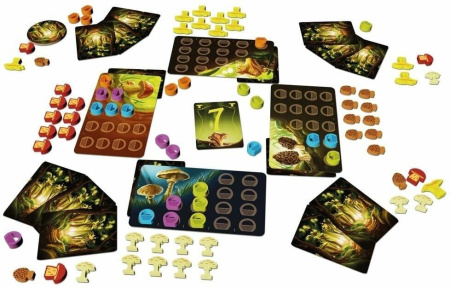 Грибные места