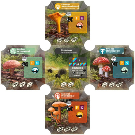 Грибы и корни: Делюкс-издание