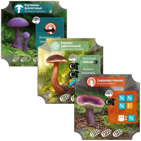 Грибы и корни