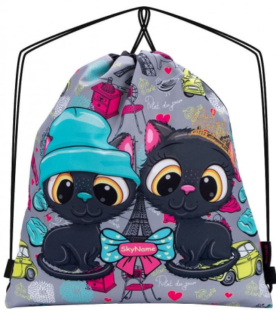 ранец SkyName 2072 с пеналом и мешком и брелоком мишкой