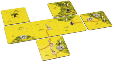 Каркассон. Сафари