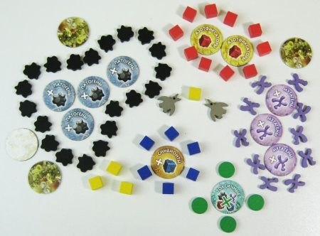 Эволюция. Новый мир. Круговорот