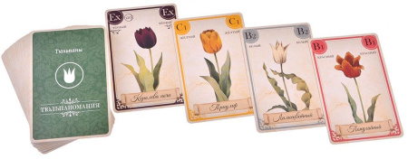 Тюльпаномания