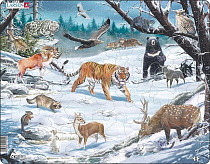 Животные Сибири и Дальнего Востока