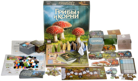 Грибы и корни