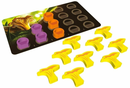 Грибные места