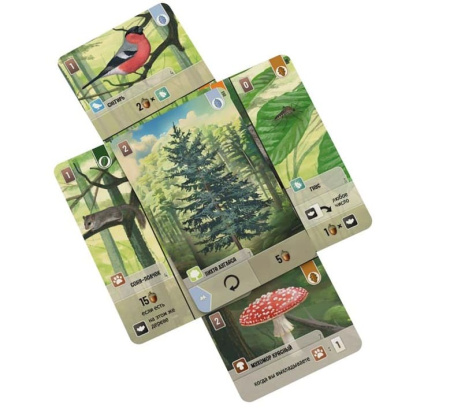 Смешанный лес