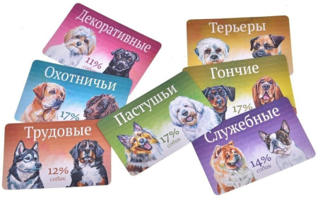 Прогулки с собаками