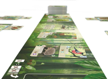 Смешанный лес