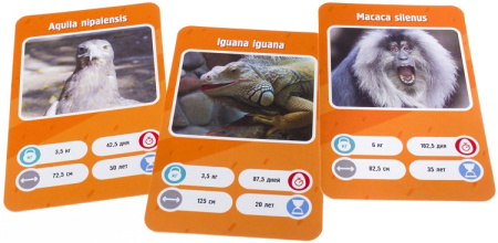 Это факт! Зоопарк