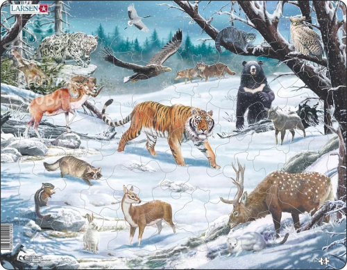 Животные Сибири и Дальнего Востока