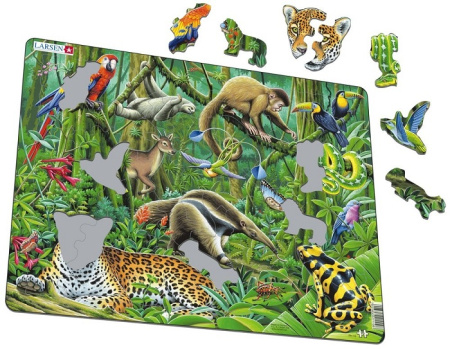 Южно-Американские тропики