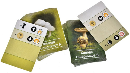 Грибы и корни