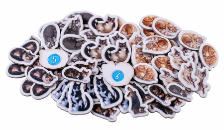 Котики (Calico)