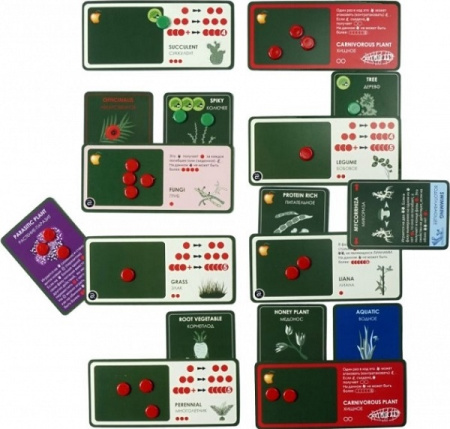 Эволюция Растения (дополнение)