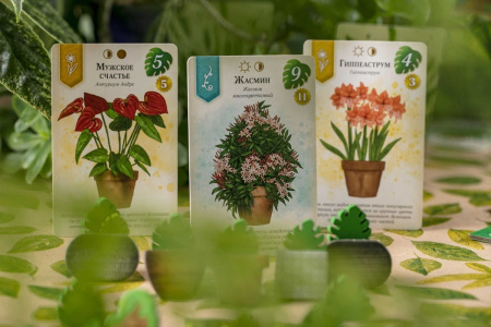 Зеленый дом