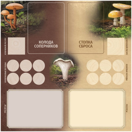 Грибы и корни