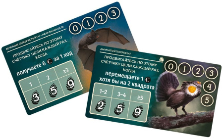 Грибы и корни: Делюкс-издание