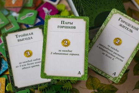 Зеленый дом