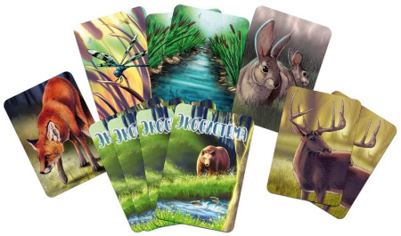 Экосистема