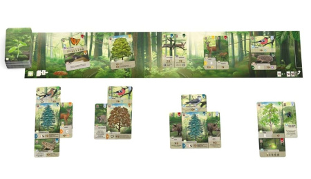 Смешанный лес