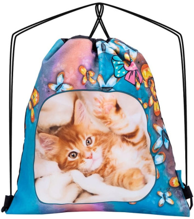 ранец SkyName 7011 с пеналом и мешком и брелоком мишкой