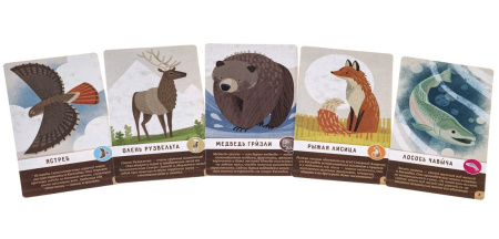 Маленькая Каскадия