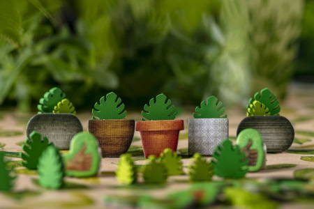 Зеленый дом