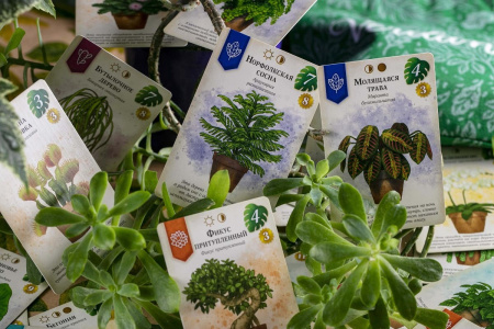 Зеленый дом