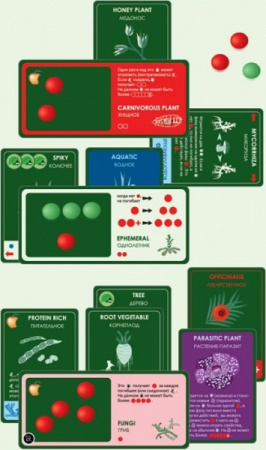 Эволюция Растения (дополнение)