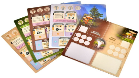 Грибы и корни