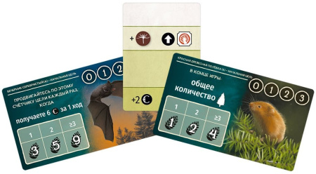 Грибы и корни