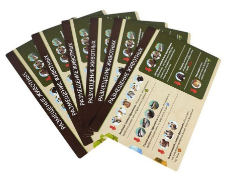 Экос. Новые горизонты