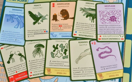 Эволюция Подарочное издание