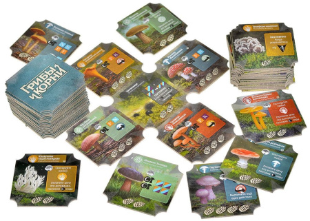 Грибы и корни