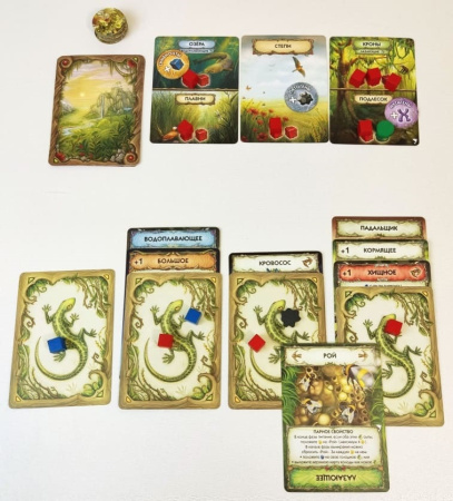 Эволюция. Новый мир. Круговорот