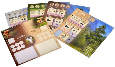 Грибы и корни: Делюкс-издание