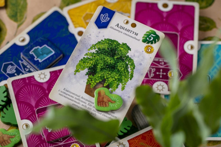 Зеленый дом