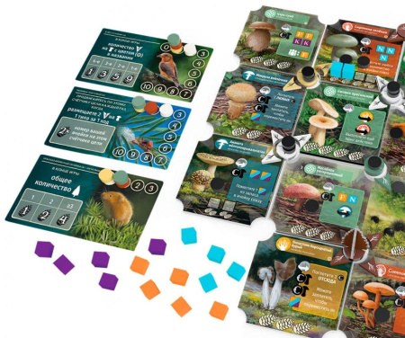 Грибы и корни