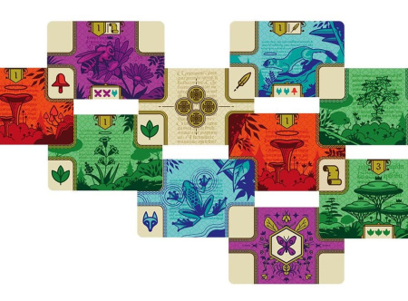 Кодекс природы