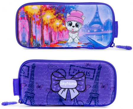 пенал жесткий SkyName P-308 без наполнения