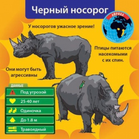 Сундучок знаний BrainBox: В мире животных 90702