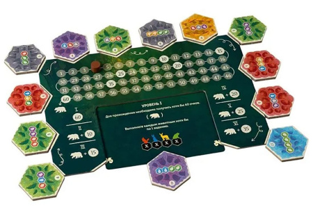 Лесные тропы